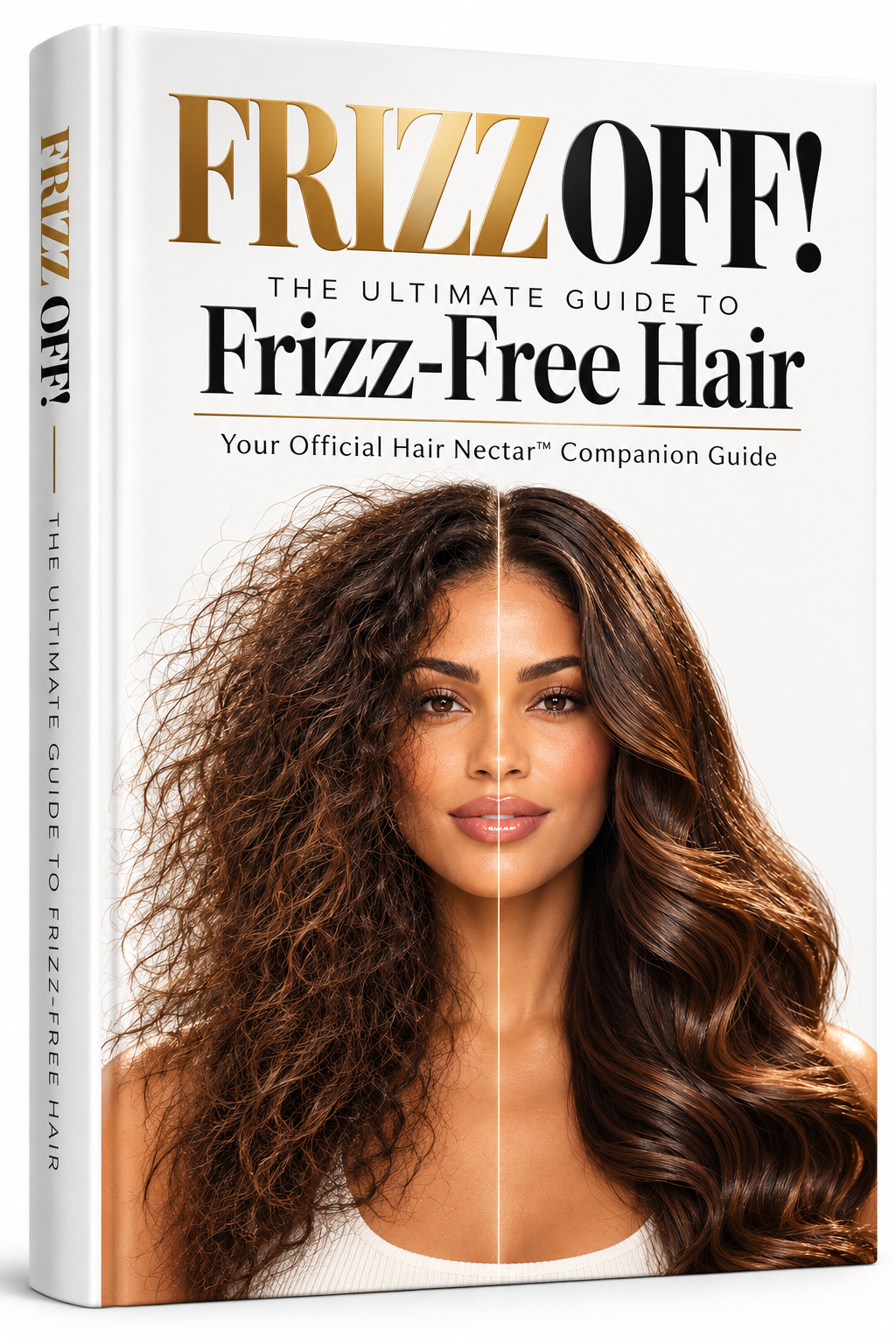 FRIZZ OFF! Ebook