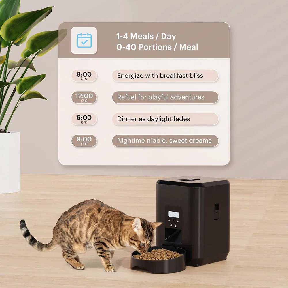 KittyFeed © (Automatic Cat Feeder)