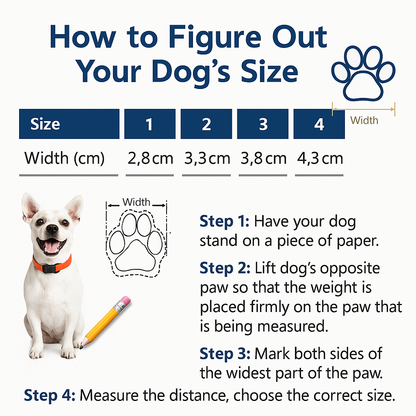 WOOF Xplorer ©