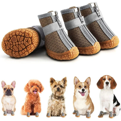 WOOF Xplorer ©