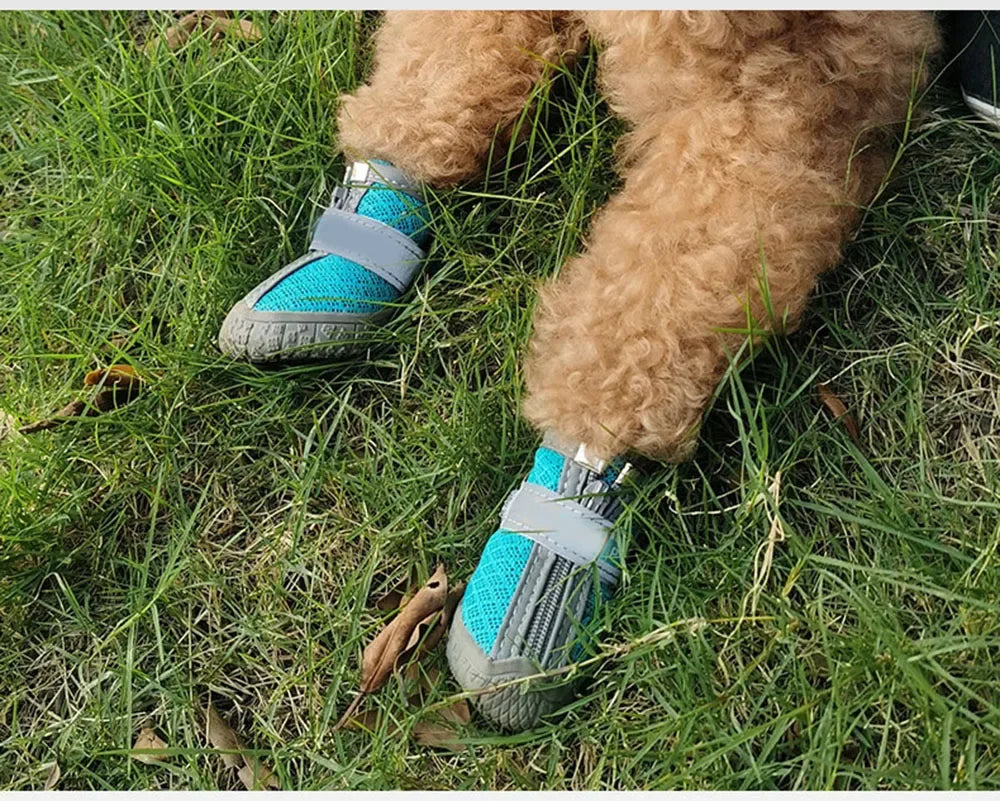 WOOF Xplorer ©