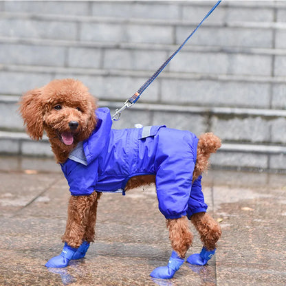 Puddle PAWZ ©