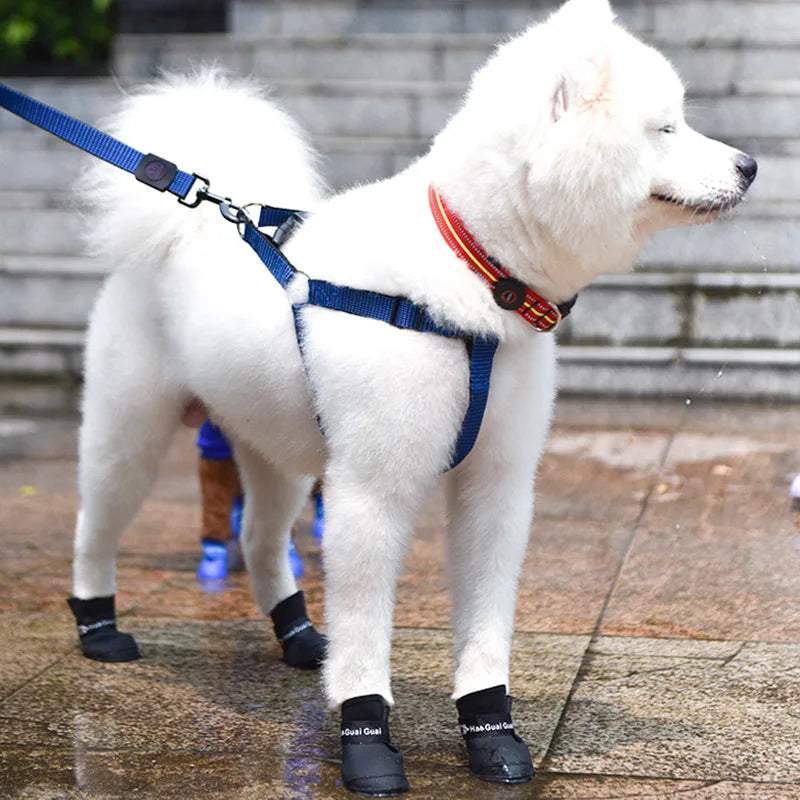 Puddle PAWZ ©